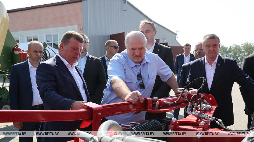Александр Лукашенко взялся за развитие садоводства. Какие задачи стоят перед правительством и аграриями