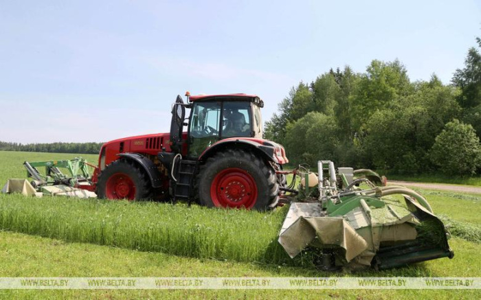 В Беларуси заготовили 300 тыс. т сена