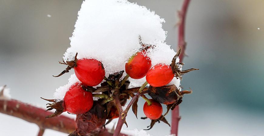 Гололедица и до -7°С ожидается в Беларуси 2 декабря