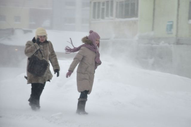 Метель, сильный ветер и гололедица ожидаются в Беларуси 9 января