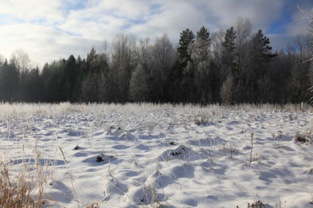 Снег и туман прогнозируются в Беларуси 24 ноября