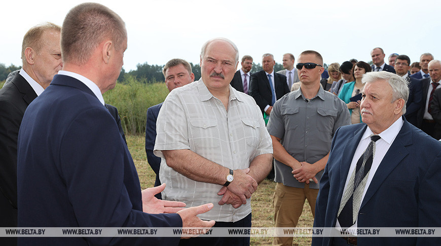 Будет ли у Беларуси свое подсолнечное масло? Александр Лукашенко поручил задействовать экспериментальные поля