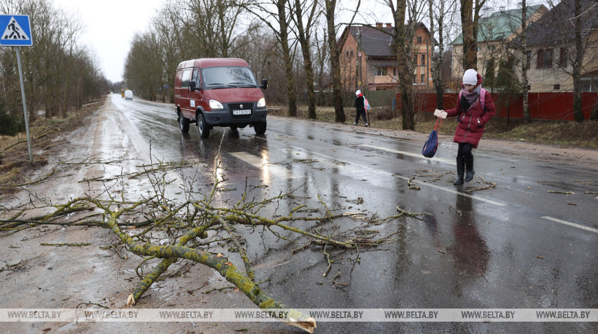 В Беларуси 14 января 836 населенных пунктов пострадали от сильного ветра