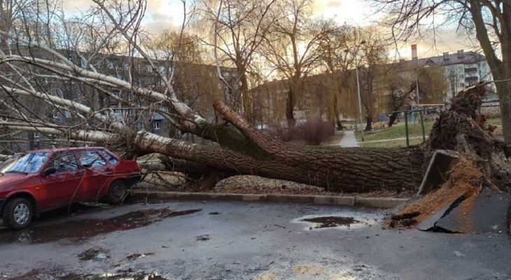 Сильный ветер сохранится: оранжевый уровень опасности объявлен в Беларуси на 20 февраля